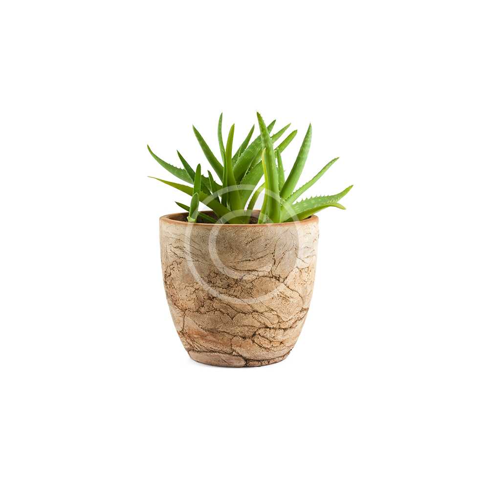product-2-copyright